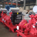 Electric Fire Fighting Pump / Electric Fire Pumps (UL/FM standard)